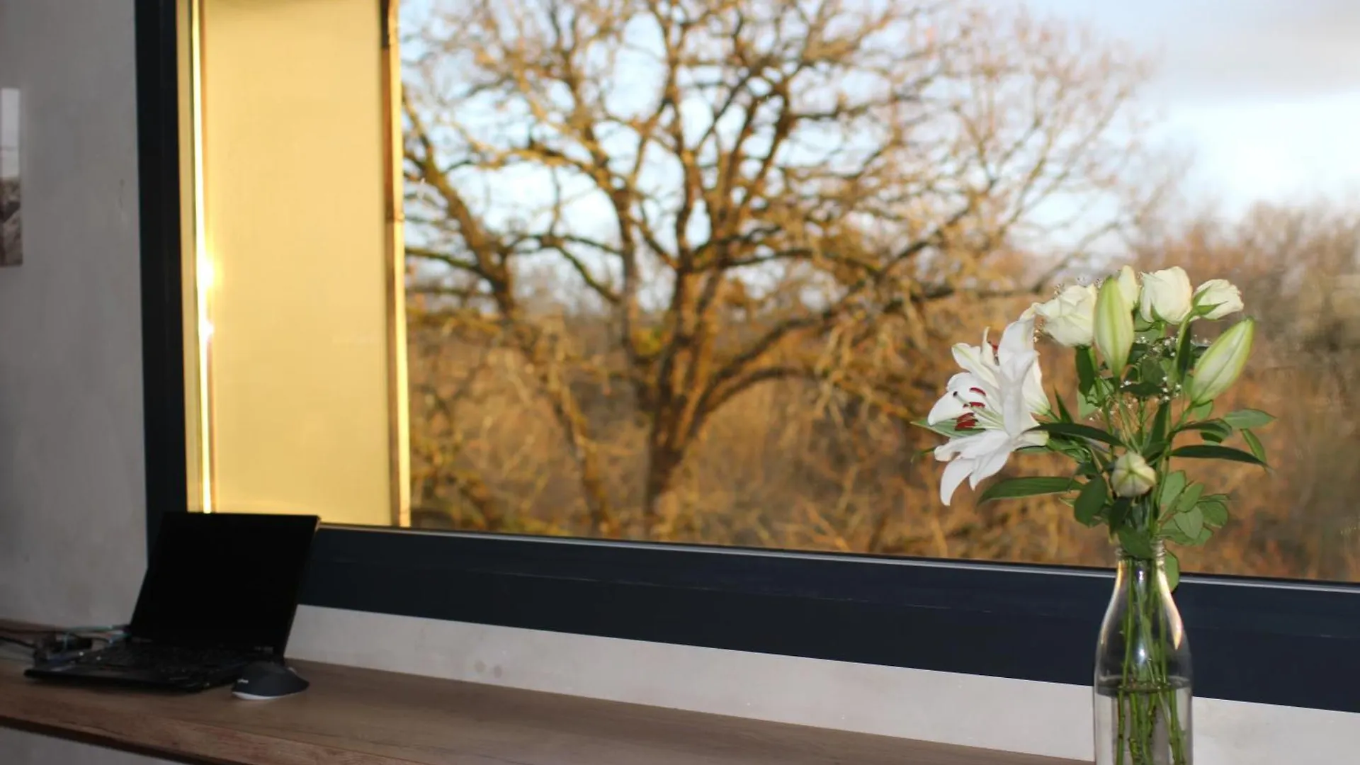 Prázdninový dům Gite Ecologique Avec Vue Foret & Vallee Dordogne ! Bétaille