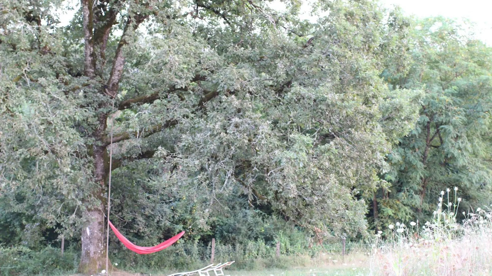 Gite Ecologique Avec Vue Foret & Vallee Dordogne ! Bétaille Francie