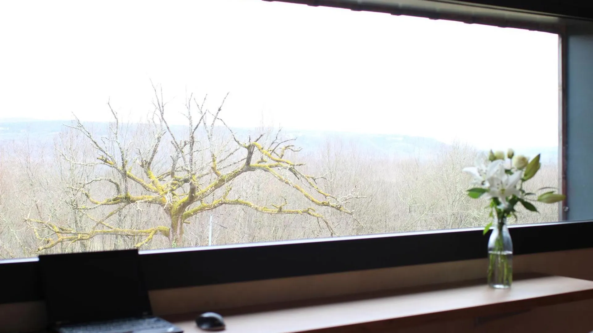 Gite Ecologique Avec Vue Foret & Vallee Dordogne ! Bétaille Prázdninový dům