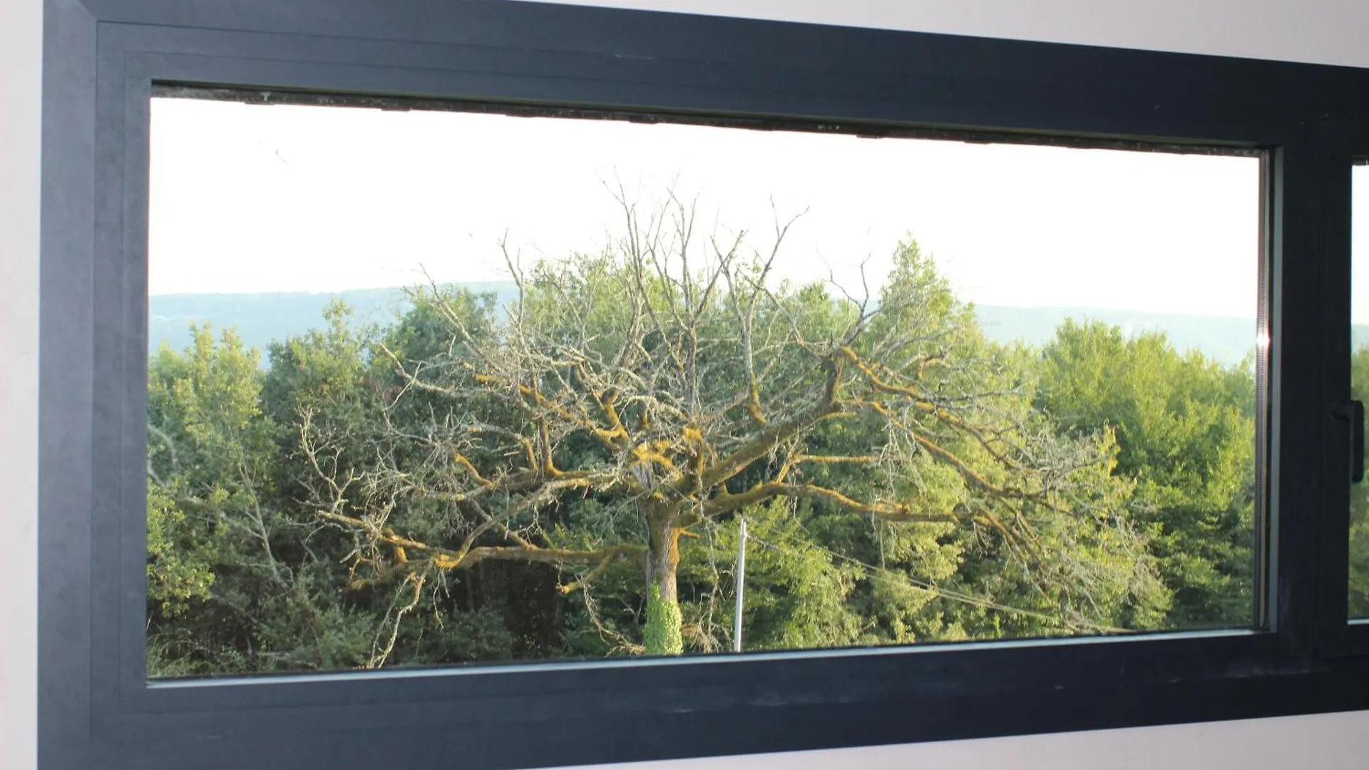 Prázdninový dům Gite Ecologique Avec Vue Foret & Vallee Dordogne ! Bétaille