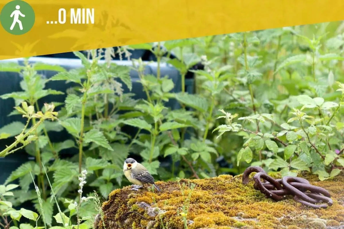 Prázdninový dům Gite Ecologique Avec Vue Foret & Vallee Dordogne ! Bétaille