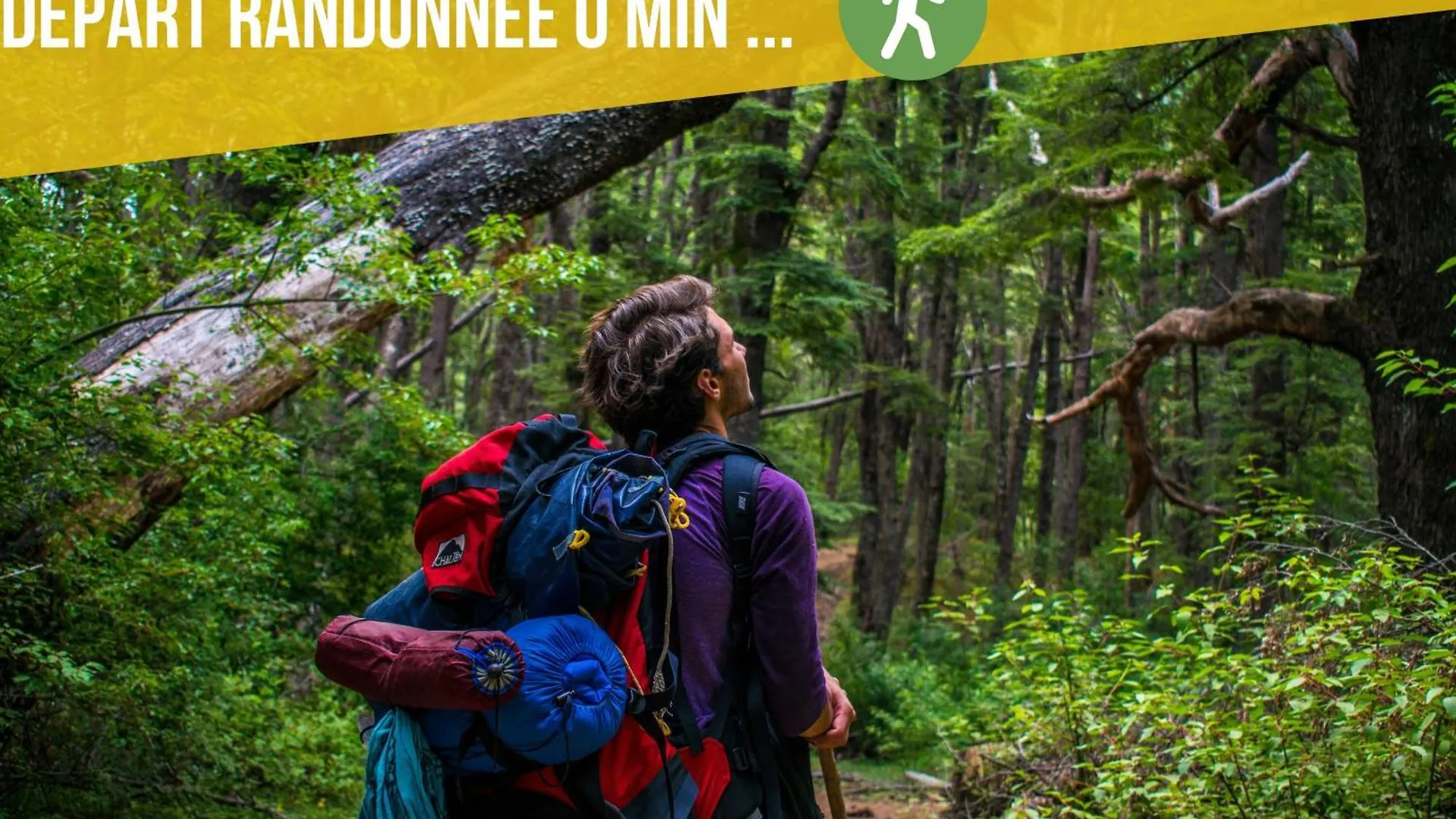 Gite Ecologique Avec Vue Foret & Vallee Dordogne ! Bétaille