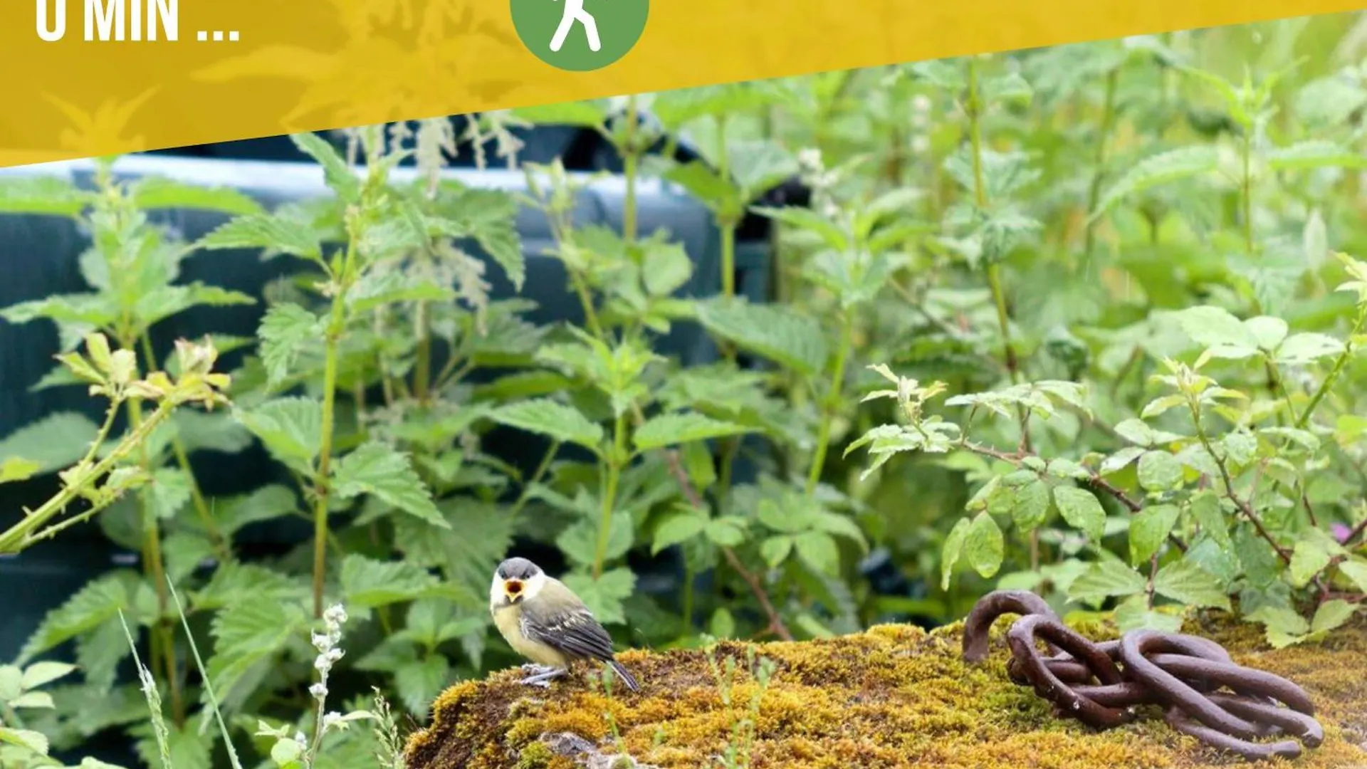 Prázdninový dům Gite Ecologique Avec Vue Foret & Vallee Dordogne ! Bétaille